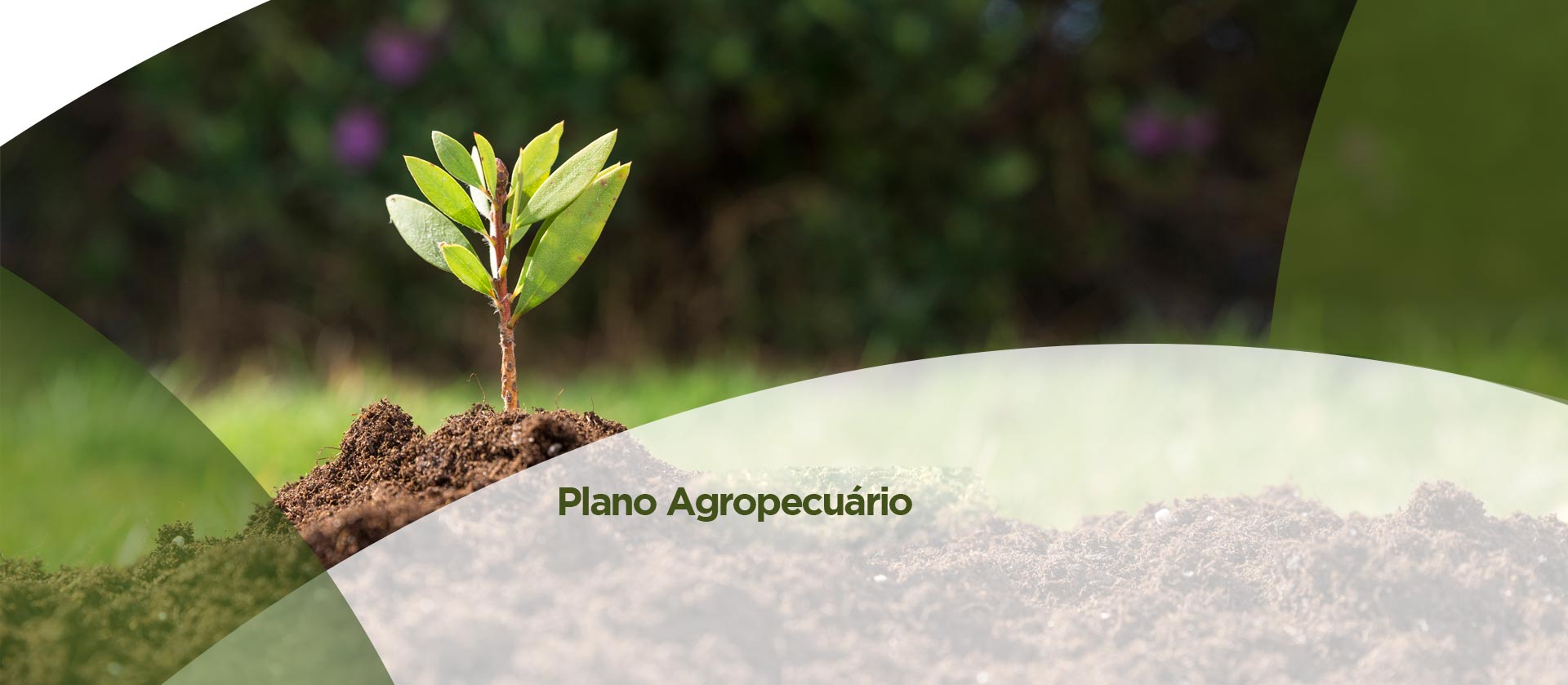 Page Plano Agropecuário