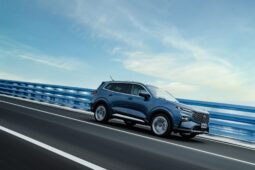 
										TERRITORY TITANIUM TURBO ECOBOOST 2024 (LNA4) cheio									